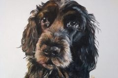 Tess